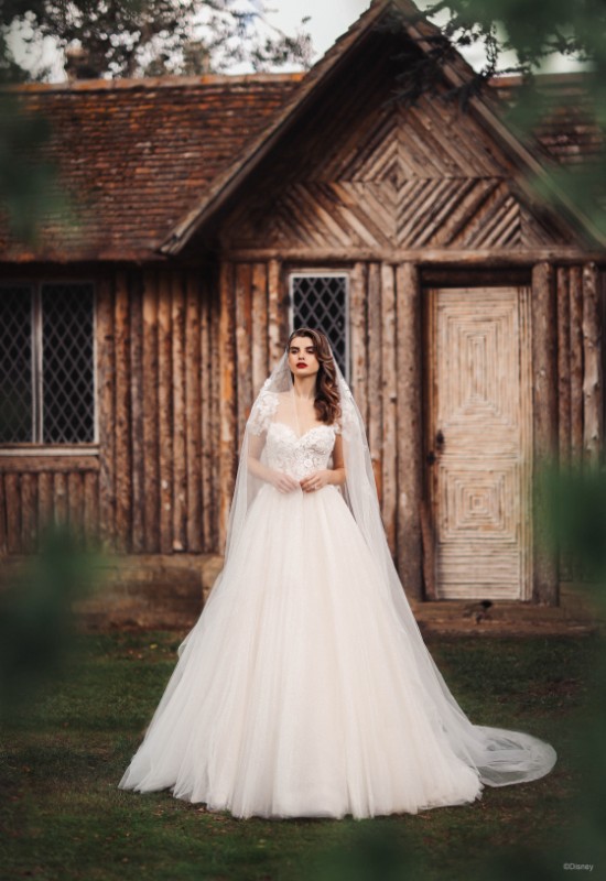 Disney Fairy Tale Weddings Collection DFTW Snow White D367 Wedding Dress at Love it at Stellas Bridal Shop in Westminster MD